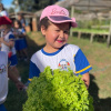 Visita a Horta do Assentamento Taperinha